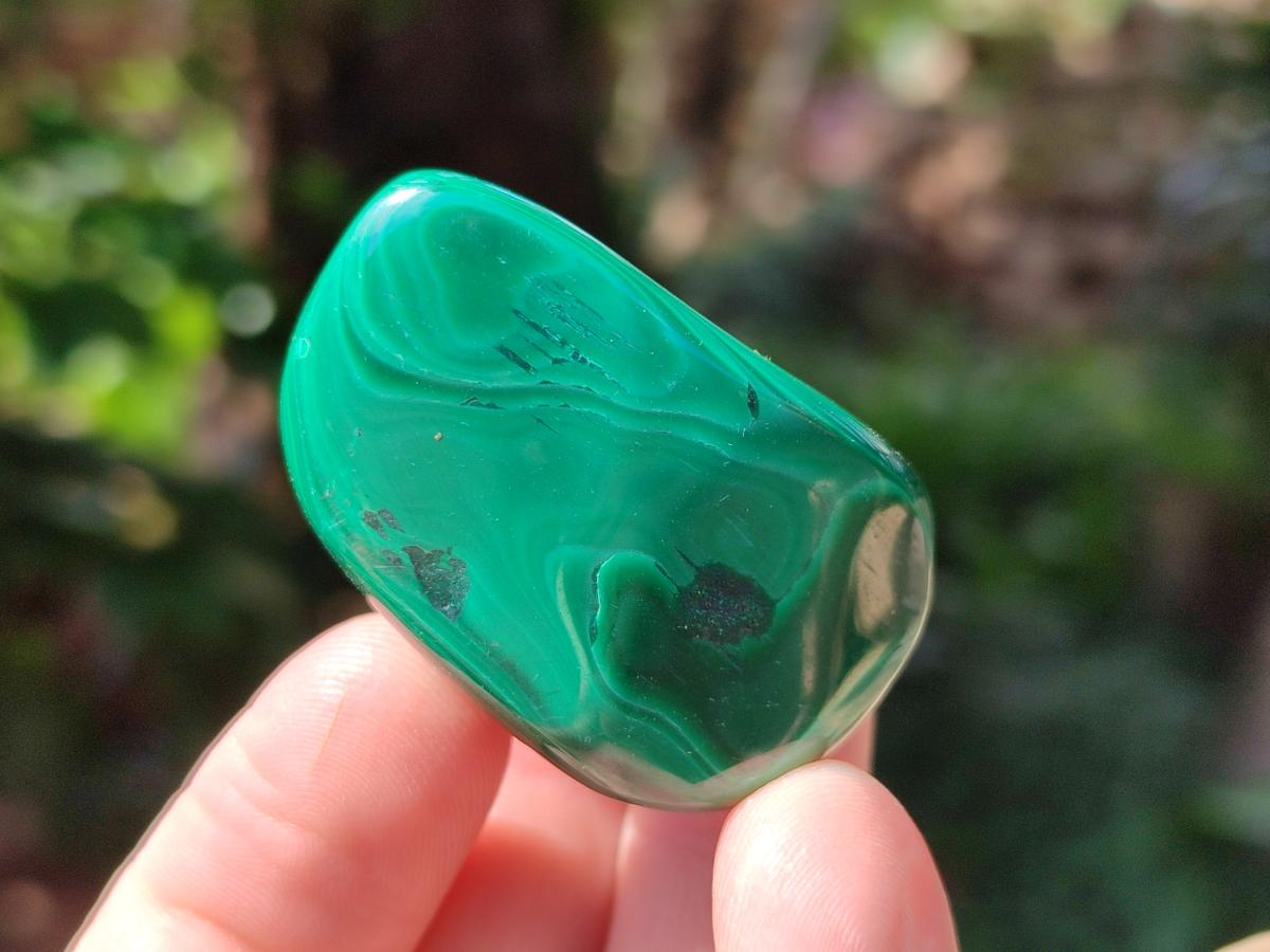 Polished Flower Banded Malachite Free Forms x 20 From Congo