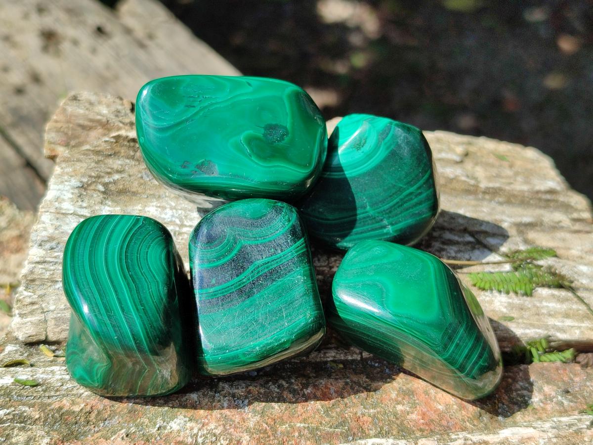 Polished Flower Banded Malachite Free Forms x 20 From Congo