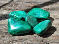 Polished Flower Banded Malachite Free Forms x 20 From Congo