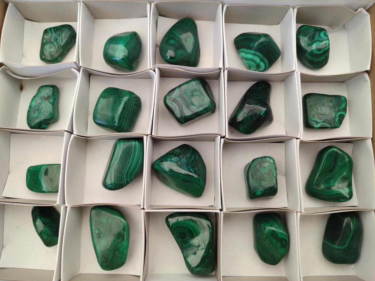 Polished Flower Banded Malachite Free Forms x 20 From Congo