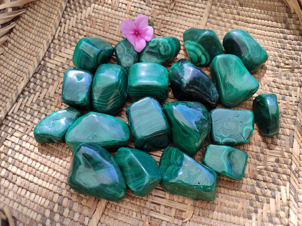Frreforms Polished Flower Banded Malachite Free Forms x 20 From Congo – Toprock ...
