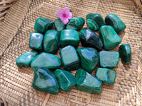 Polished Flower Banded Malachite Free Forms x 20 From Congo