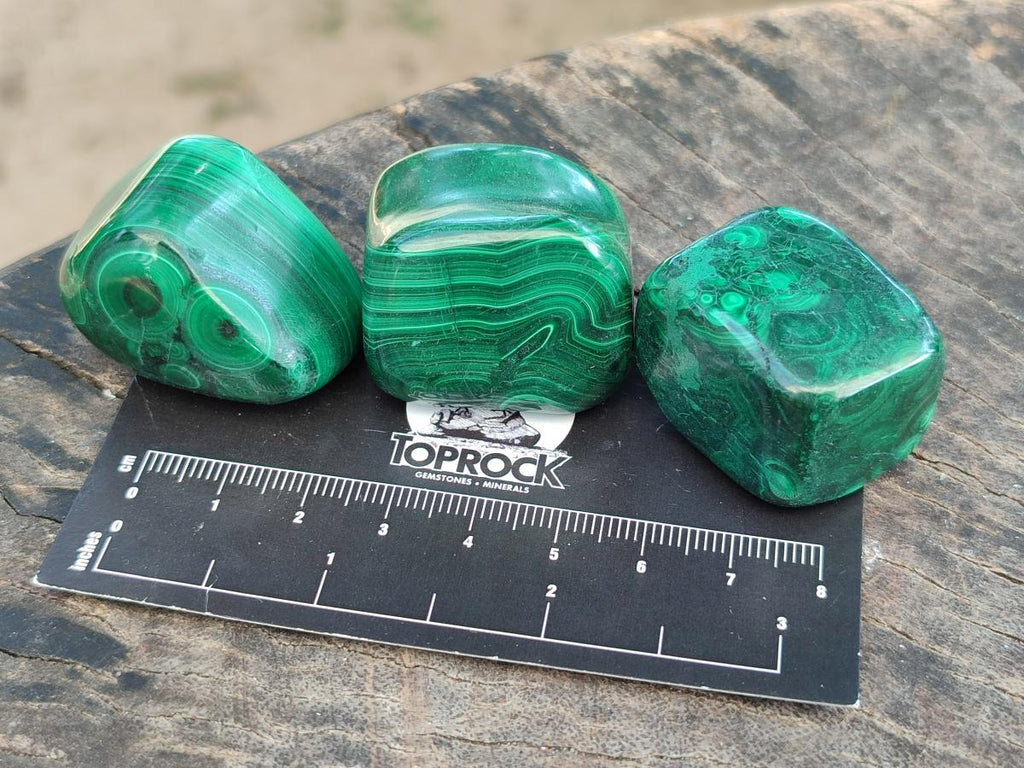 Polished Flower Banded Malachite Free Forms x 20 From Congo