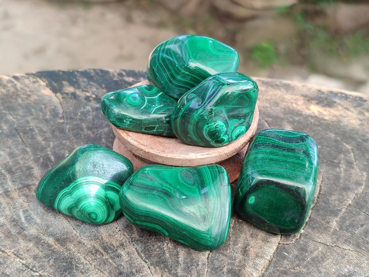Polished Flower Banded Malachite Free Forms x 20 From Congo