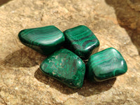 Polished Flower Banded Malachite Free Forms x 20 From Congo