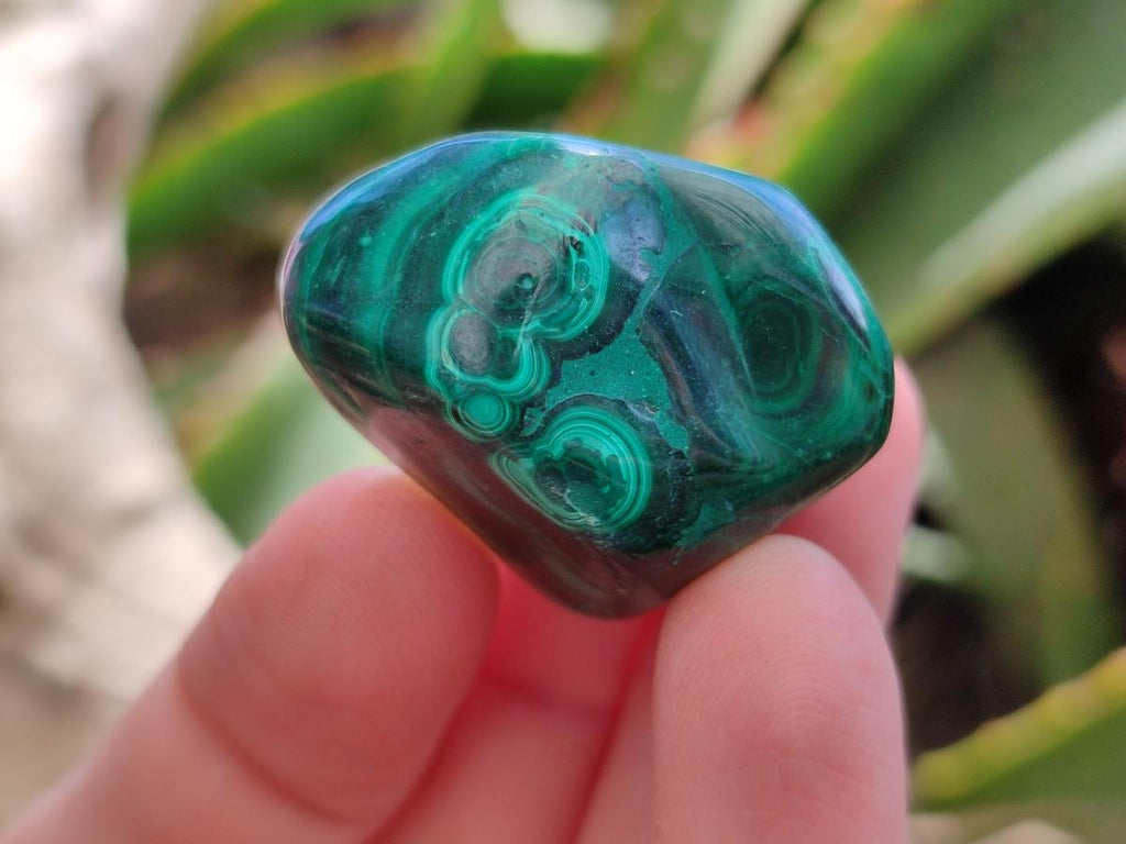 Polished Flower Banded Malachite Free Forms x 20 From Congo