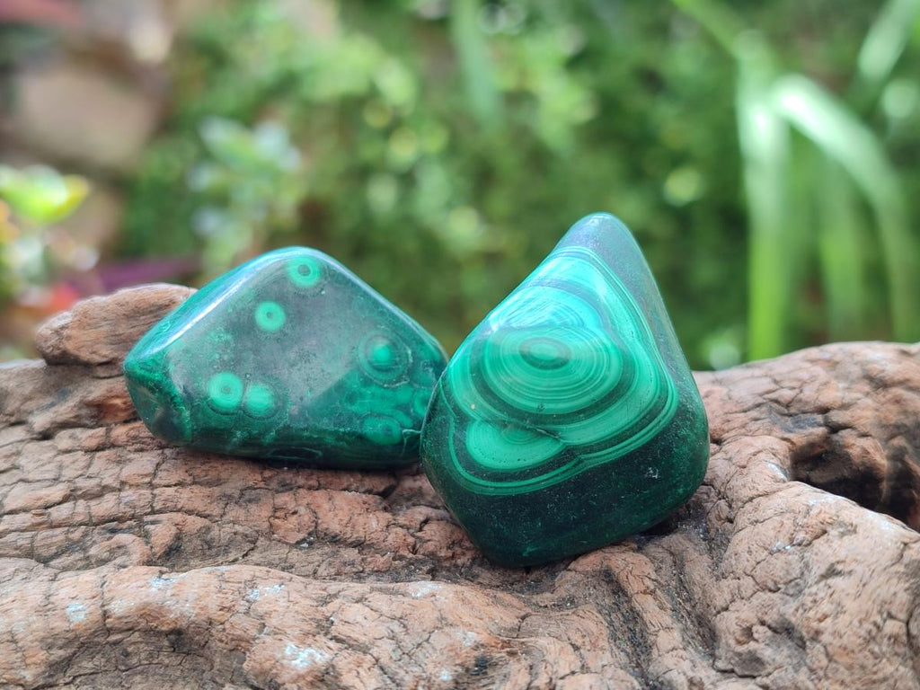 Polished Flower Banded Malachite Free Forms x 20 From Congo