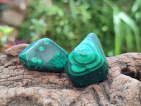 Polished Flower Banded Malachite Free Forms x 20 From Congo