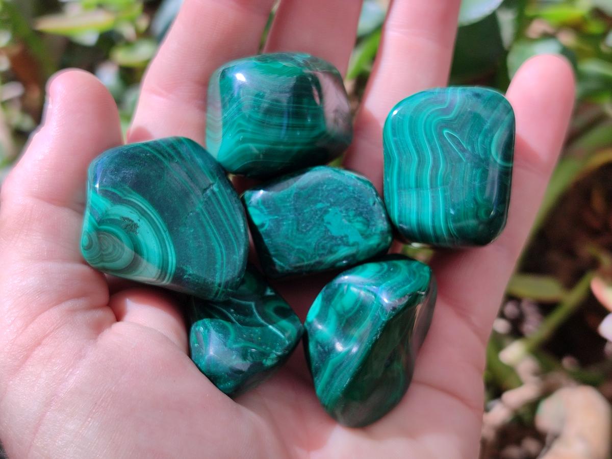 Polished Flower Banded Malachite Free Forms x 20 From Congo