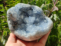 Natural Blue Celestite Geode Specimens x 2 From Sakoany, Madagascar