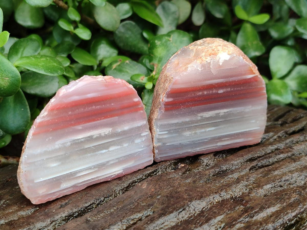 Polished On One Side Red Shashe River Agate Nodules x 6 From Shashe River, Zimbabwe - Toprock Gemstones and Minerals 