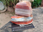 Polished On One Side Red Shashe River Agate Nodules x 6 From Shashe River, Zimbabwe - Toprock Gemstones and Minerals 