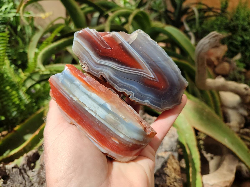 Polished On One Side Red Shashe River Agate Nodules x 6 From Shashe River, Zimbabwe - Toprock Gemstones and Minerals 