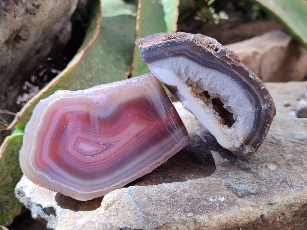 Polished On One Side Red Shashe River Agate Nodules x 6 From Shashe River, Zimbabwe - Toprock Gemstones and Minerals 