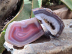 Polished On One Side Red Shashe River Agate Nodules x 6 From Shashe River, Zimbabwe - Toprock Gemstones and Minerals 