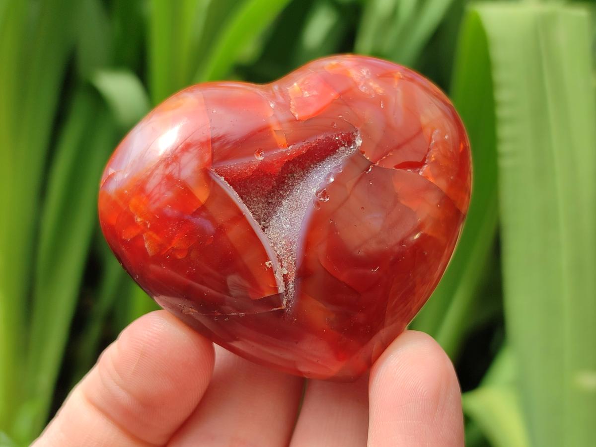 Polished Carnelian Agate Gemstone Hearts x 12 From Madagascar