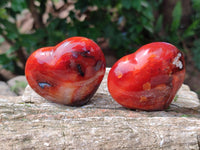 Polished Carnelian Agate Gemstone Hearts x 12 From Madagascar