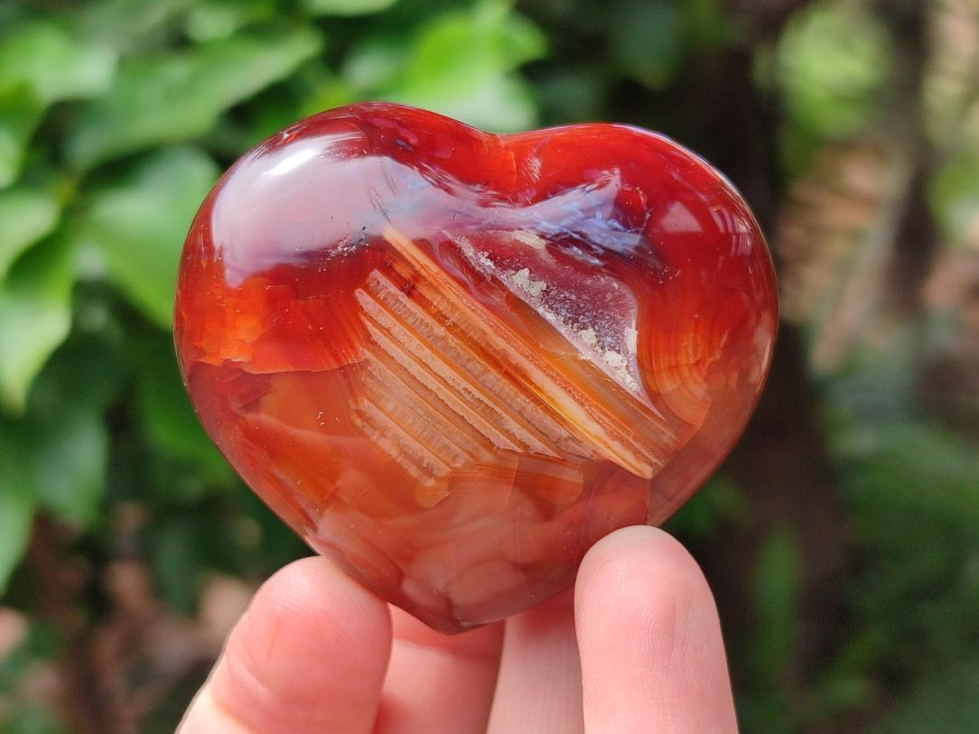 Polished Carnelian Agate Gemstone Hearts x 12 From Madagascar