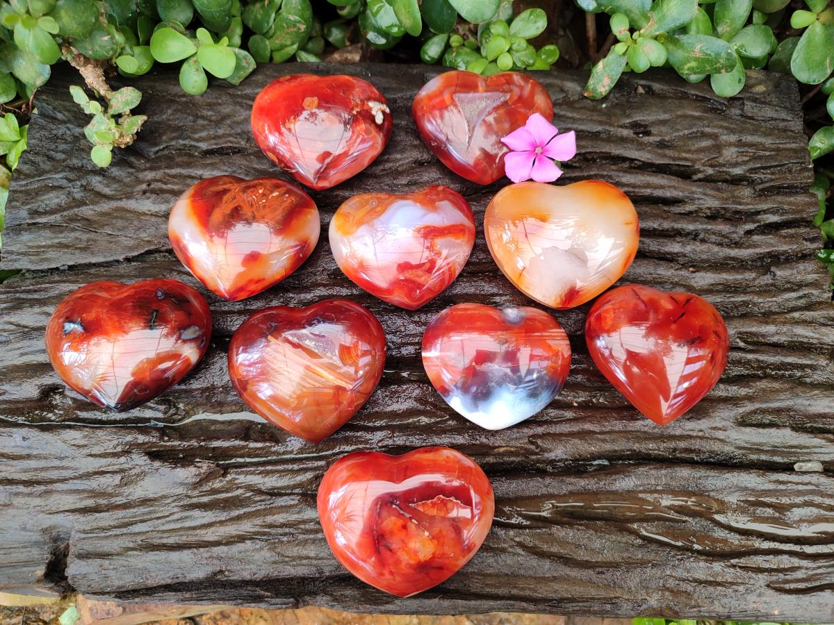 Polished Carnelian Agate Gemstone Hearts x 12 From Madagascar