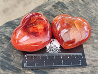 Polished Carnelian Agate Gemstone Hearts x 12 From Madagascar