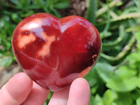 Polished Carnelian Agate Gemstone Hearts x 12 From Madagascar