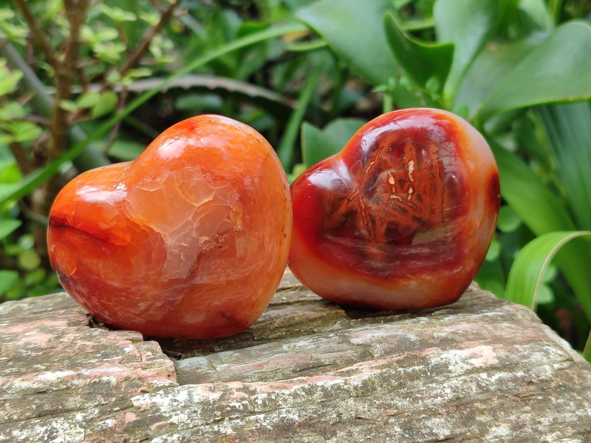 Polished Carnelian Agate Gemstone Hearts x 12 From Madagascar