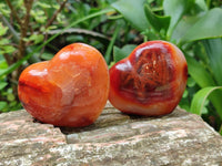 Polished Carnelian Agate Gemstone Hearts x 12 From Madagascar