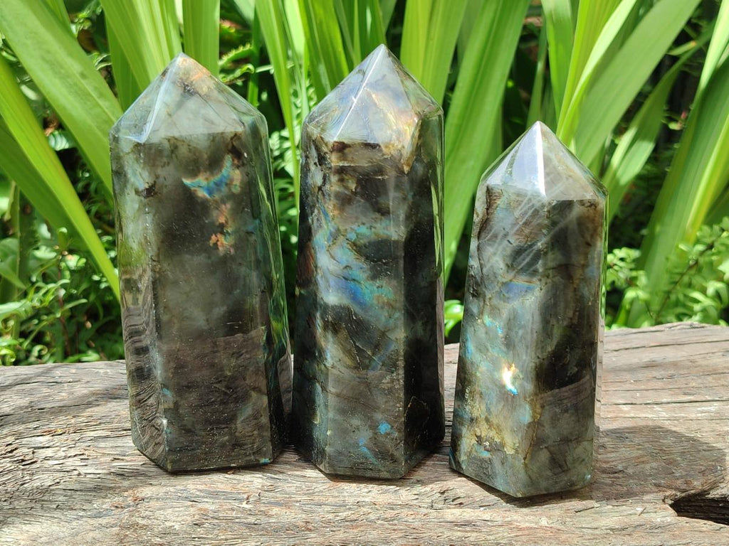 Polished Labradorite Display Crystals x 3 From Madagascar