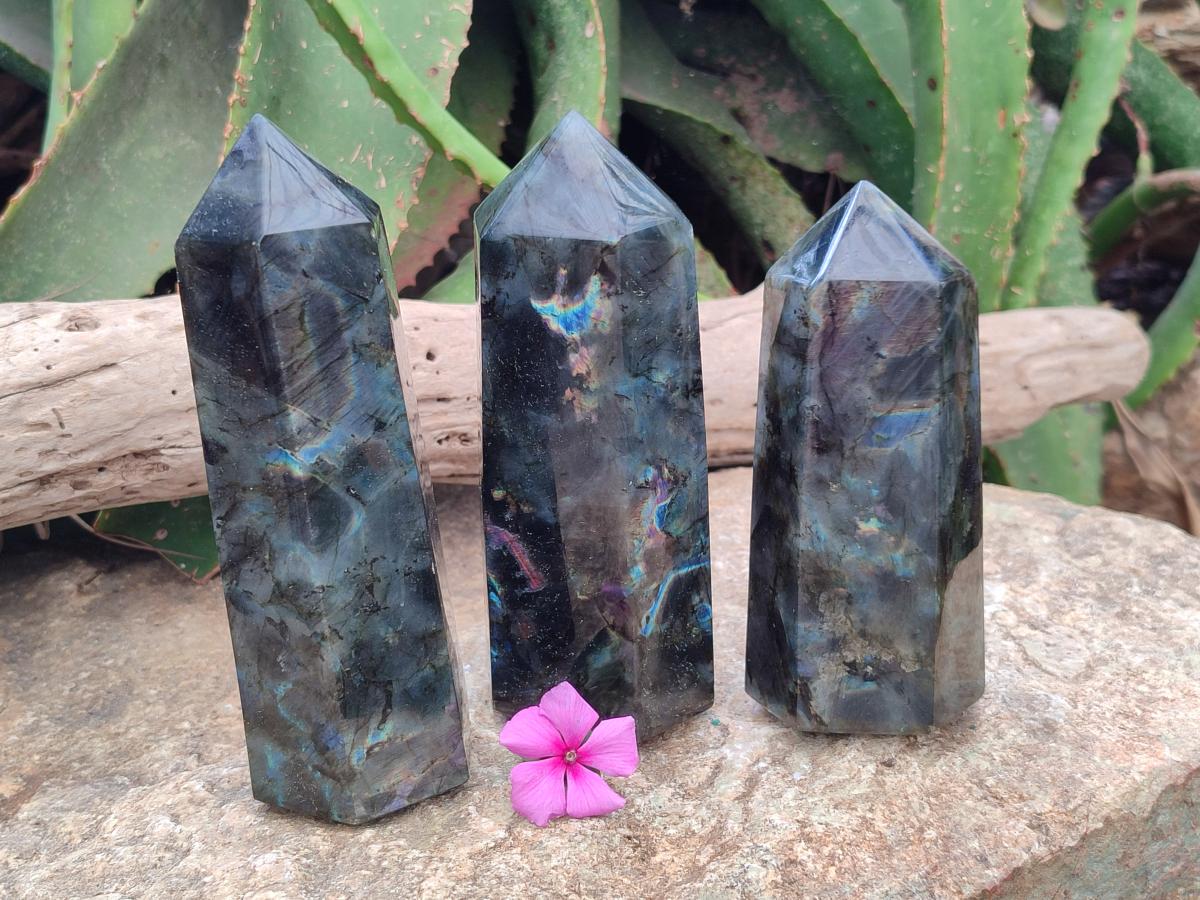 Polished Labradorite Display Crystals x 3 From Madagascar