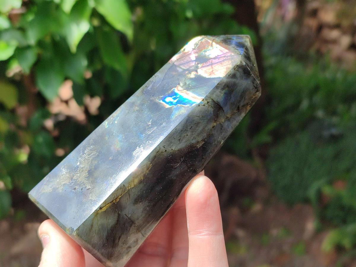 Polished Labradorite Display Crystals x 3 From Madagascar