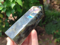 Polished Labradorite Display Crystals x 3 From Madagascar