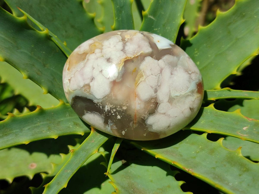 Polished Flower Agate Palm Stones x 24 From Antsahalova, Madagascar