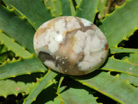 Polished Flower Agate Palm Stones x 24 From Antsahalova, Madagascar