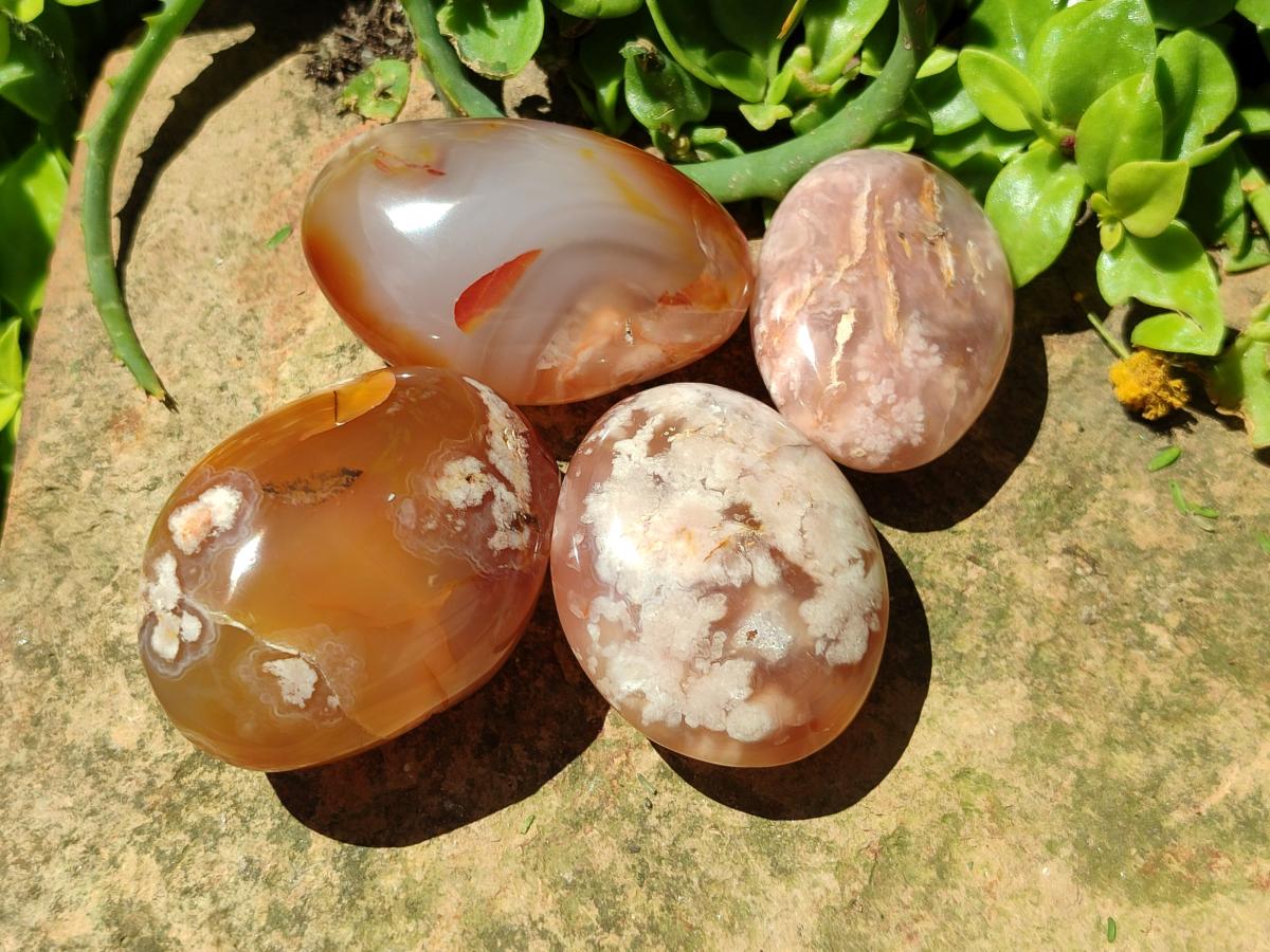 Polished Flower Agate Palm Stones x 24 From Antsahalova, Madagascar