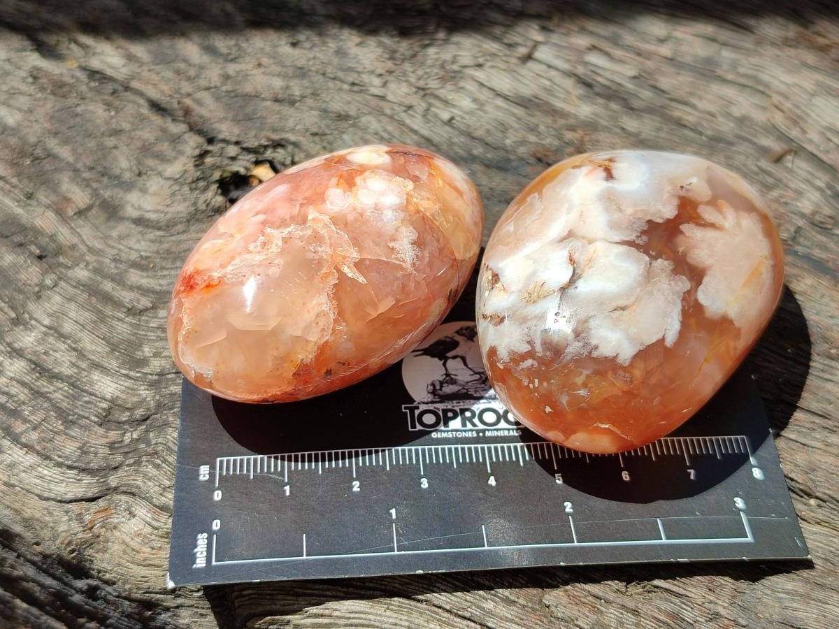 Polished Flower Agate Palm Stones x 24 From Antsahalova, Madagascar
