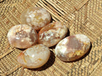 Polished Flower Agate Palm Stones x 24 From Antsahalova, Madagascar