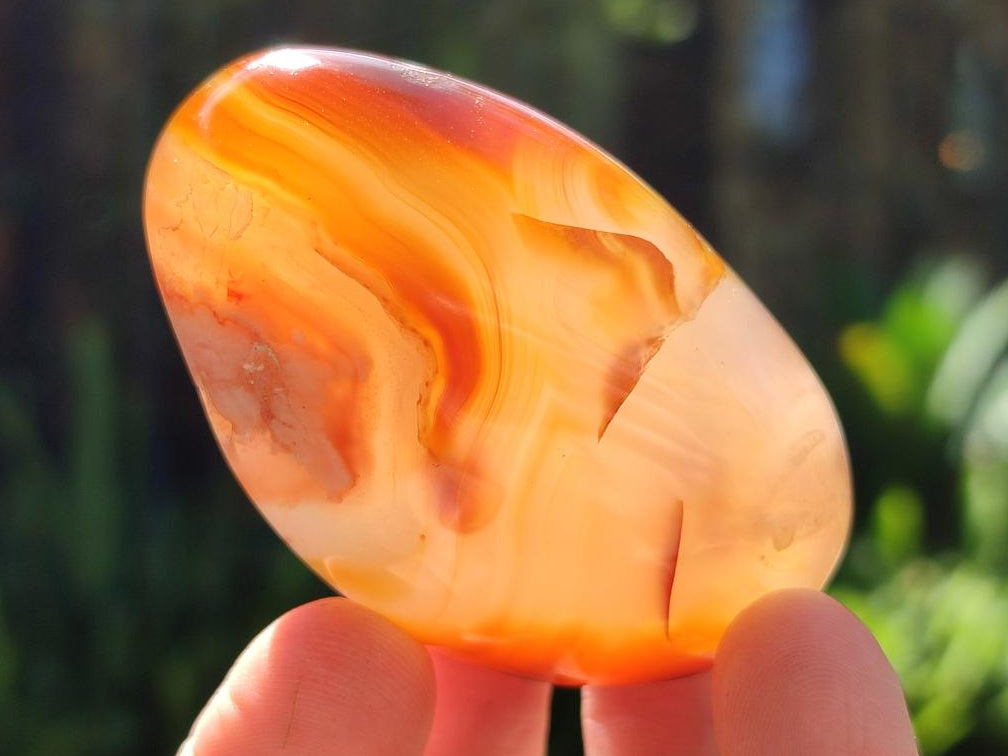 Polished Flower Agate Palm Stones x 24 From Antsahalova, Madagascar