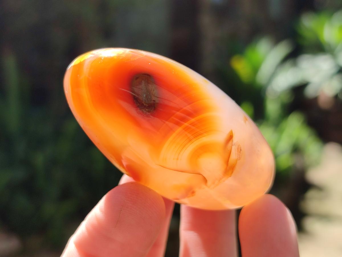 Polished Flower Agate Palm Stones x 24 From Antsahalova, Madagascar