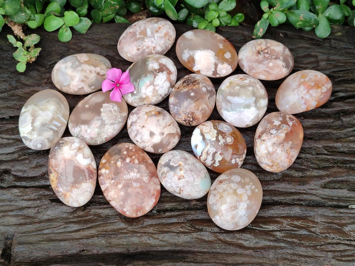 Polished Flower Agate Palm Stones x 24 From Antsahalova, Madagascar