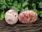 Polished Flower Agate Palm Stones x 24 From Antsahalova, Madagascar