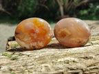 Polished Flower Agate Palm Stones x 24 From Antsahalova, Madagascar