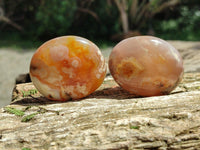 Polished Flower Agate Palm Stones x 24 From Antsahalova, Madagascar
