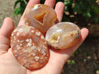 Polished Flower Agate Palm Stones x 24 From Antsahalova, Madagascar