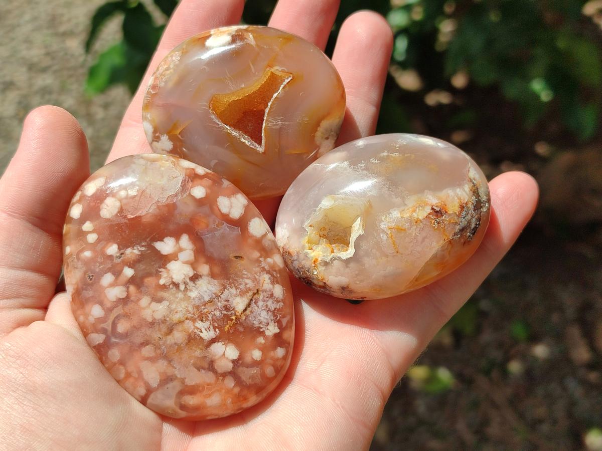 Polished Flower Agate Palm Stones x 24 From Antsahalova, Madagascar