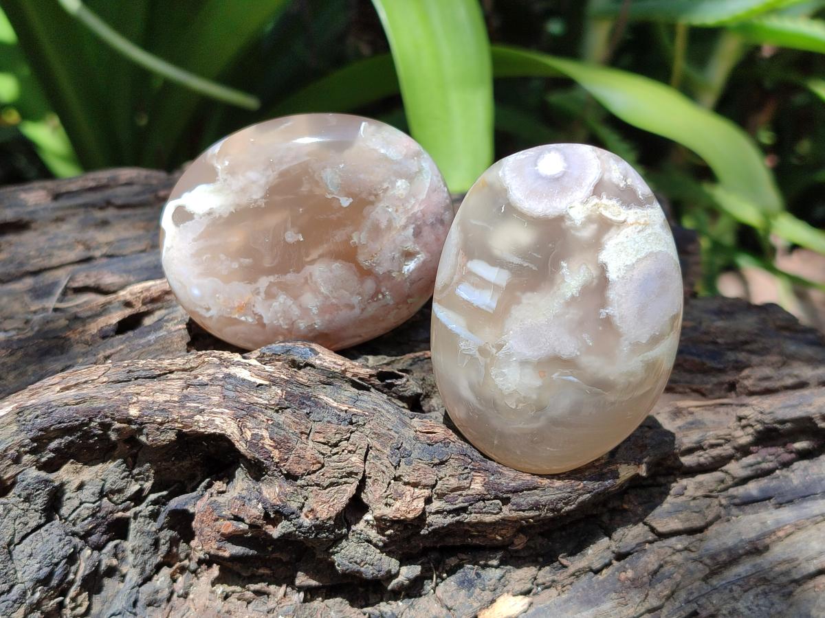 Polished Flower Agate Palm Stones x 24 From Antsahalova, Madagascar