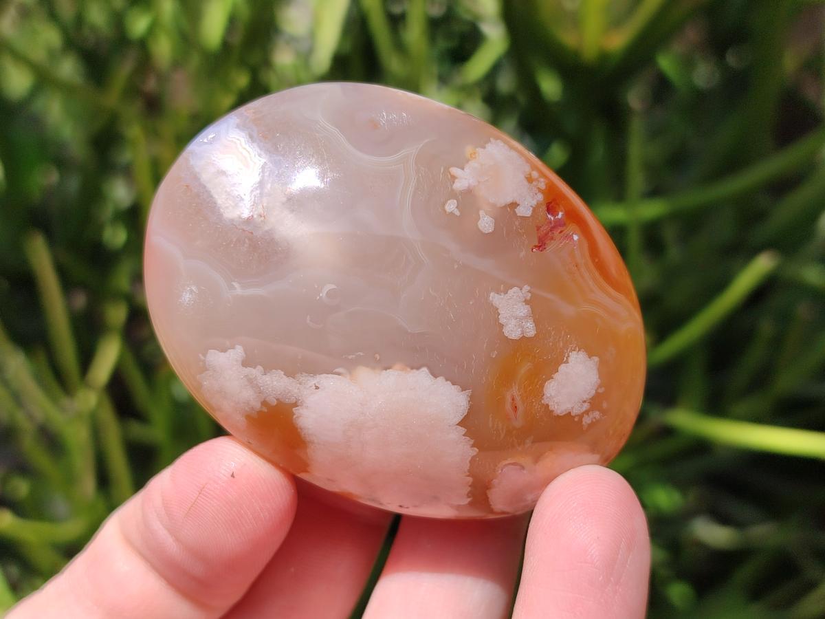 Polished Flower Agate Palm Stones x 24 From Antsahalova, Madagascar