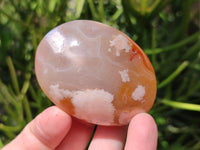 Polished Flower Agate Palm Stones x 24 From Antsahalova, Madagascar