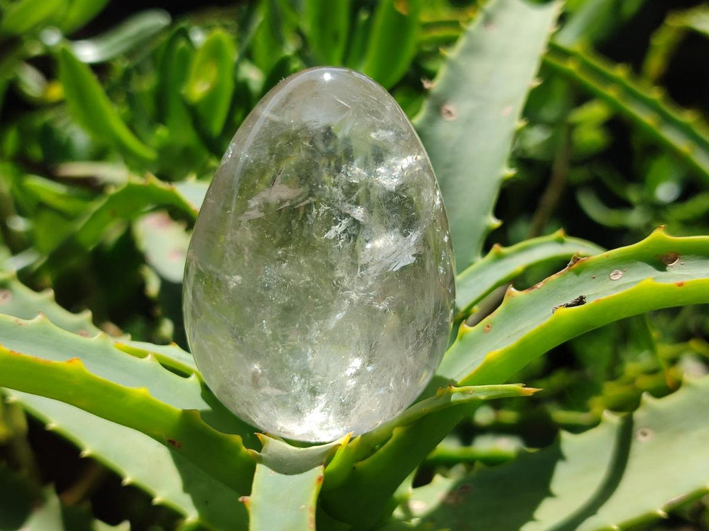 Polished Smokey Window Quartz Eggs x 5 From Madagascar