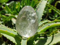 Polished Smokey Window Quartz Eggs x 5 From Madagascar