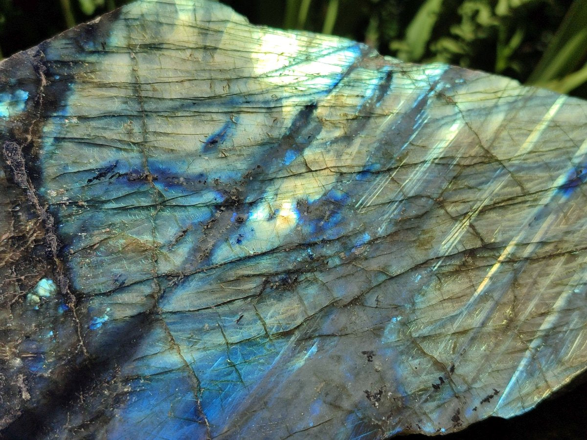 Polished XL One Side Labradorite Display Piece x 1 From Madagascar